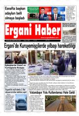 ERGANİ HABER