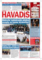 YEREL HAVADİS