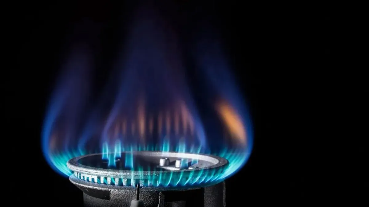 Cumhurbaşkanı Erdoğan’ın doğalgaz müjdeleri Resmi Gazete’de yayınlandı