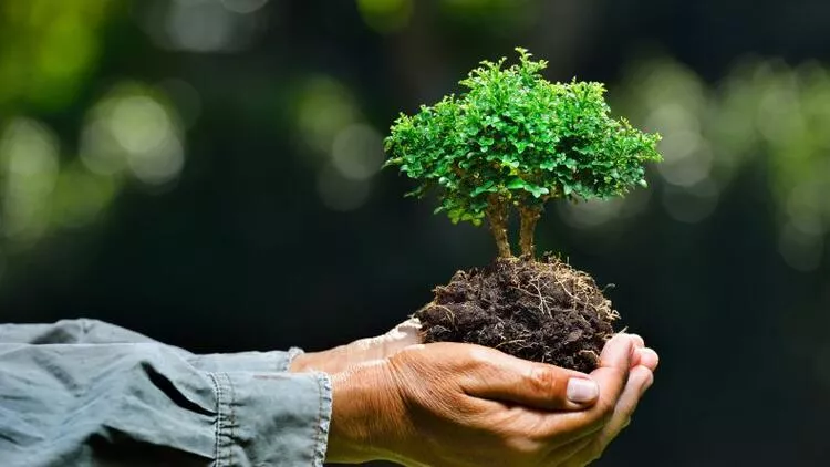 Çevre Haftası etkinlikleri başlıyor