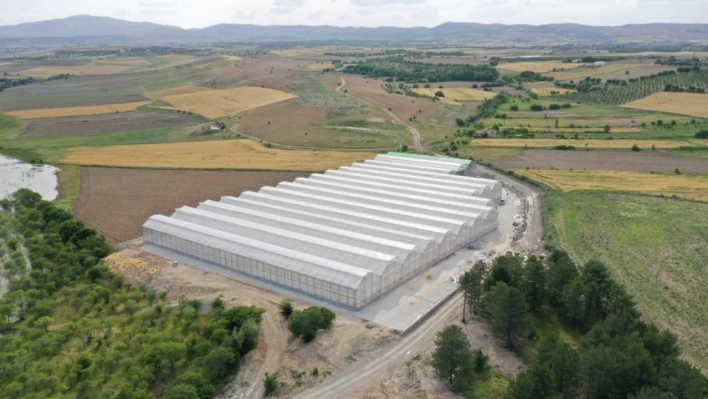 Jeotermal Sera Saha’da topraksız tarıma başlandı