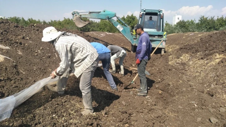 Milletvekili Keleş’ten hububat alım açıklaması