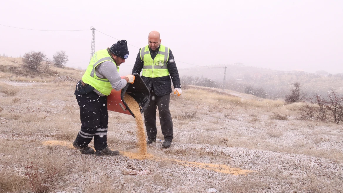 Elazığ Belediyesi yaban ve sokak hayvanları için çalışma başlattı 
