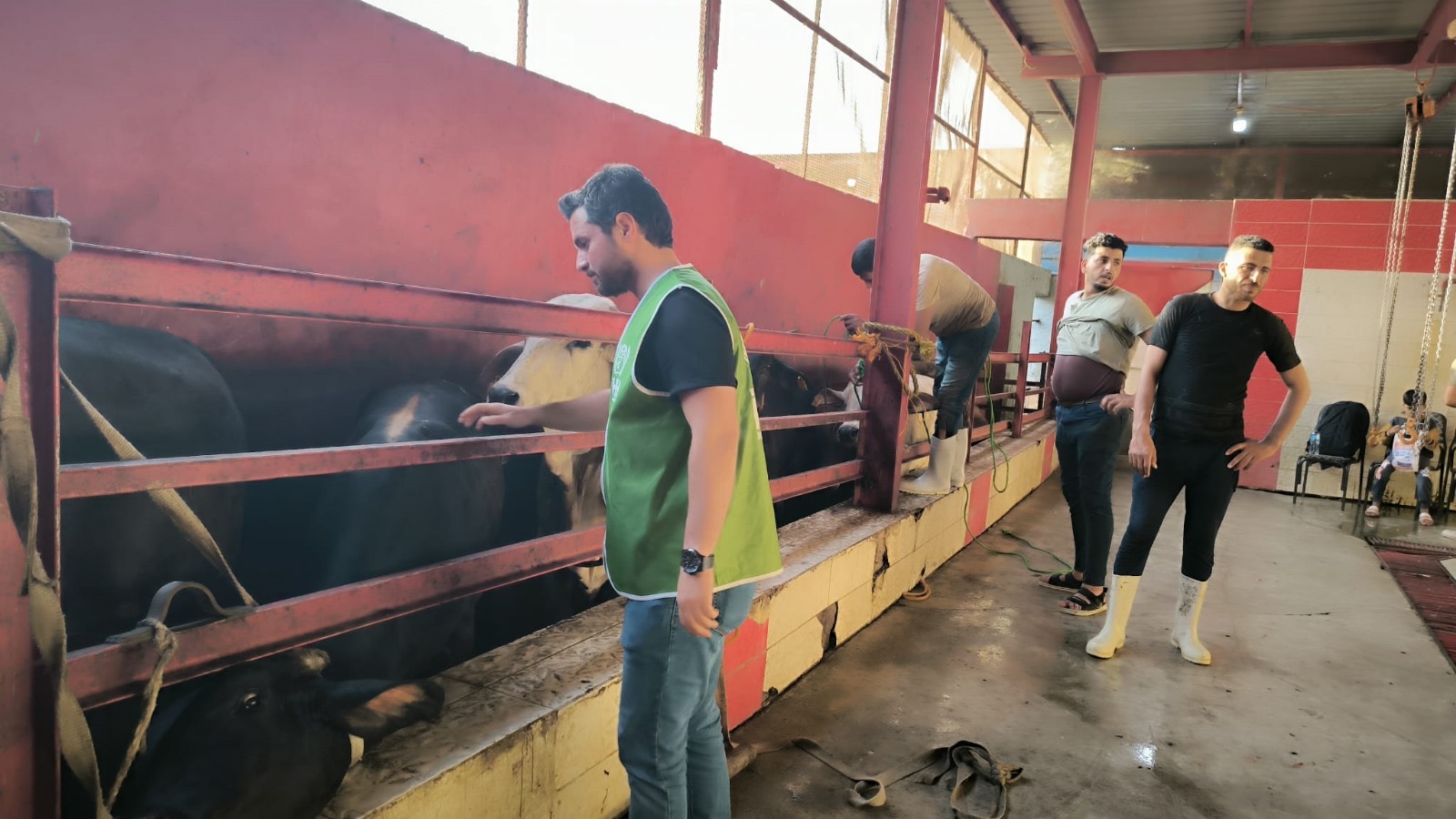 İHH ELAZIĞ, KURBAN BAYRAMINDA İHTİYAÇ SAHİPLERİNİ UNUTMADI