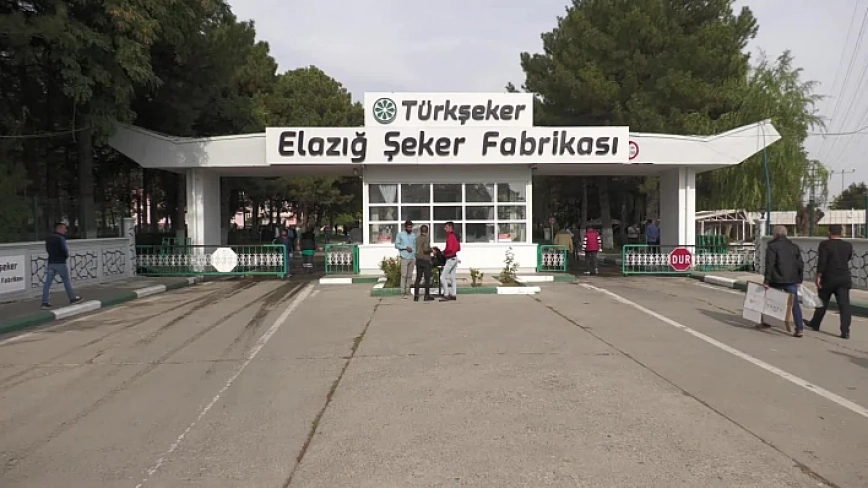 Türkiye Şeker Fabrikaları 525 Geçici İşçi Alacak