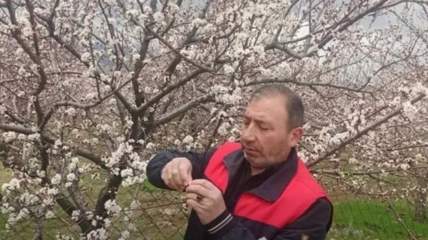 Elazığ’da Zirai Don Alarmı