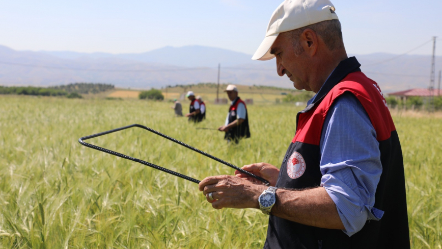 Elazığ’da Süne Sürveyi ve Cbs Çalışmaları Sahada Değerlendirildi